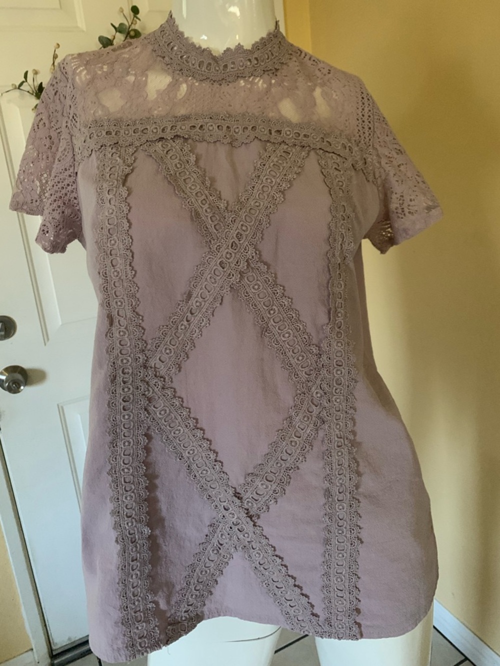 Lace Panel Short-Sleeve Women's Top in Light Mauve